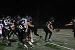 IMG_8020.jpg