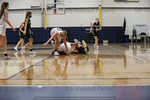 IMG_8685.jpg