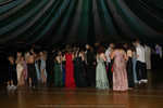 IMG_2603.jpg