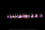 4B8A2164.jpg